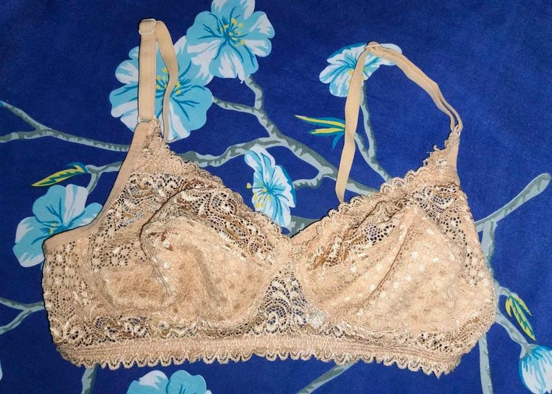 Lingerie Net Lace Bra (40/100)(Non-padded)