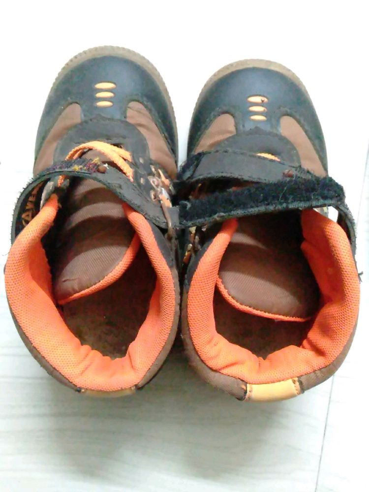 Shoes and Chappals