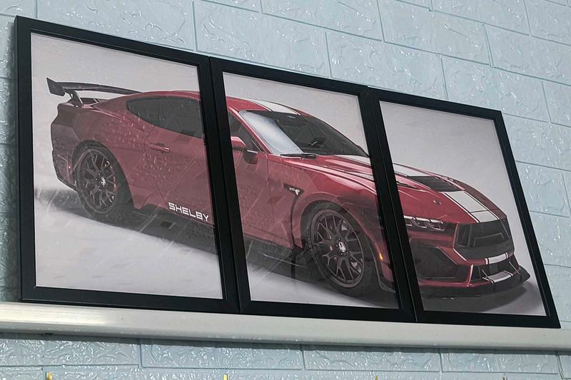 Set Of 3 Split Premium Car Frame