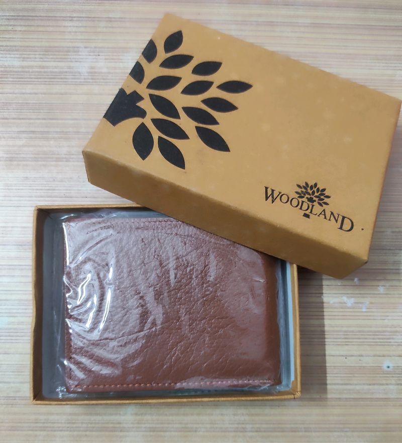 WOODLAND Men Brown Genuine Leather Wallet