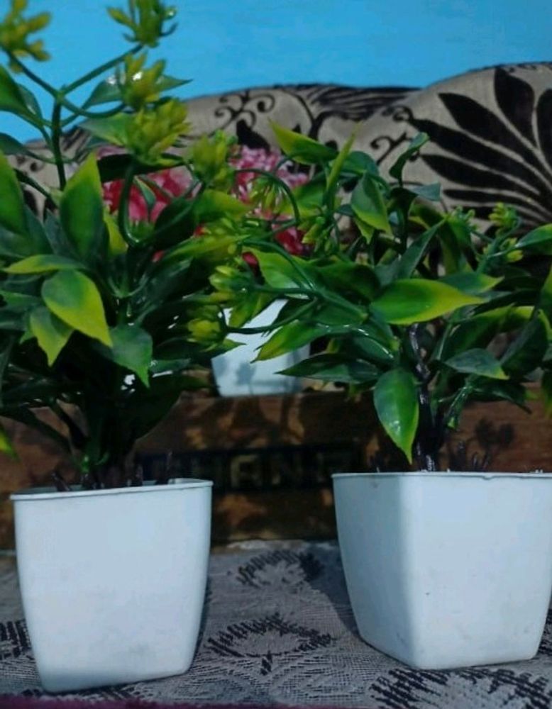 small green plastic flower with pot , budget for freeup