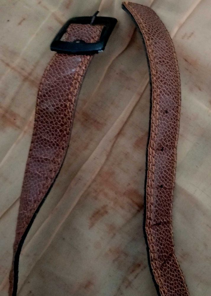 Brown Snakeskin Belt