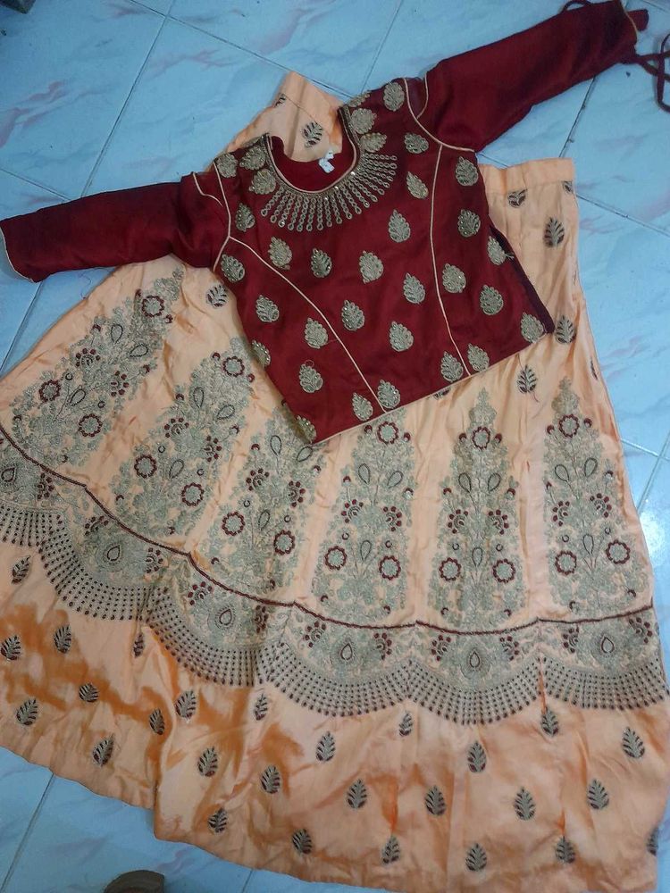 Embroidered Lehenga Choli Set