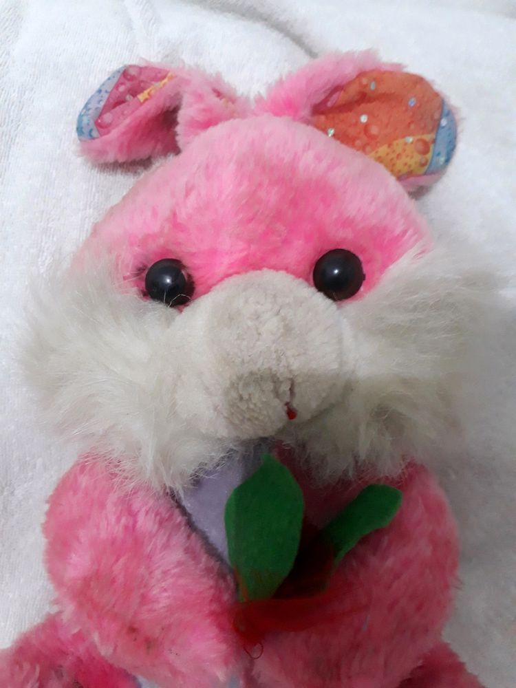 Rabbit Plush🐰