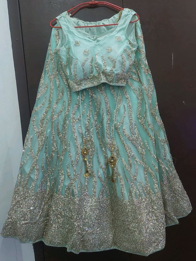 Lehanaga Choli With Sequence Work