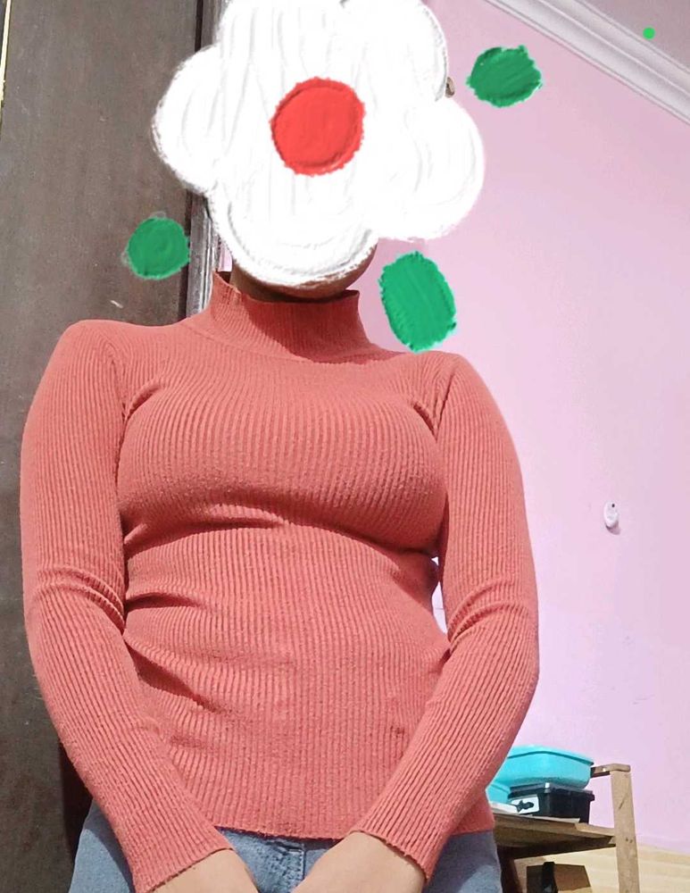 Turtle Neck Top