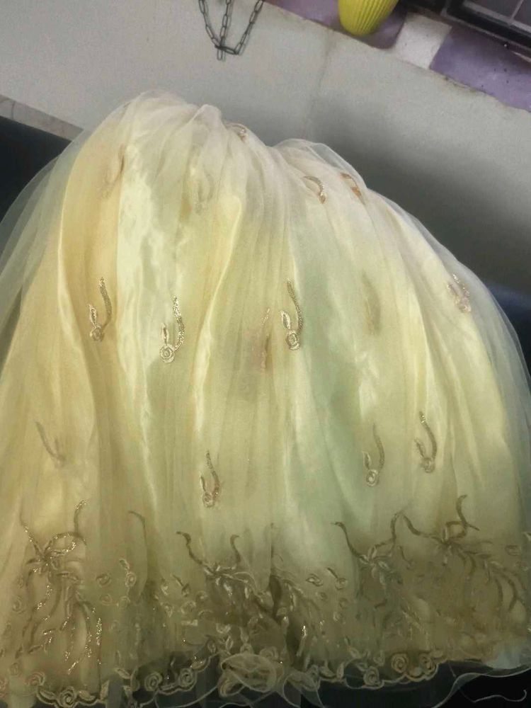 Elegant Lehenga Choli