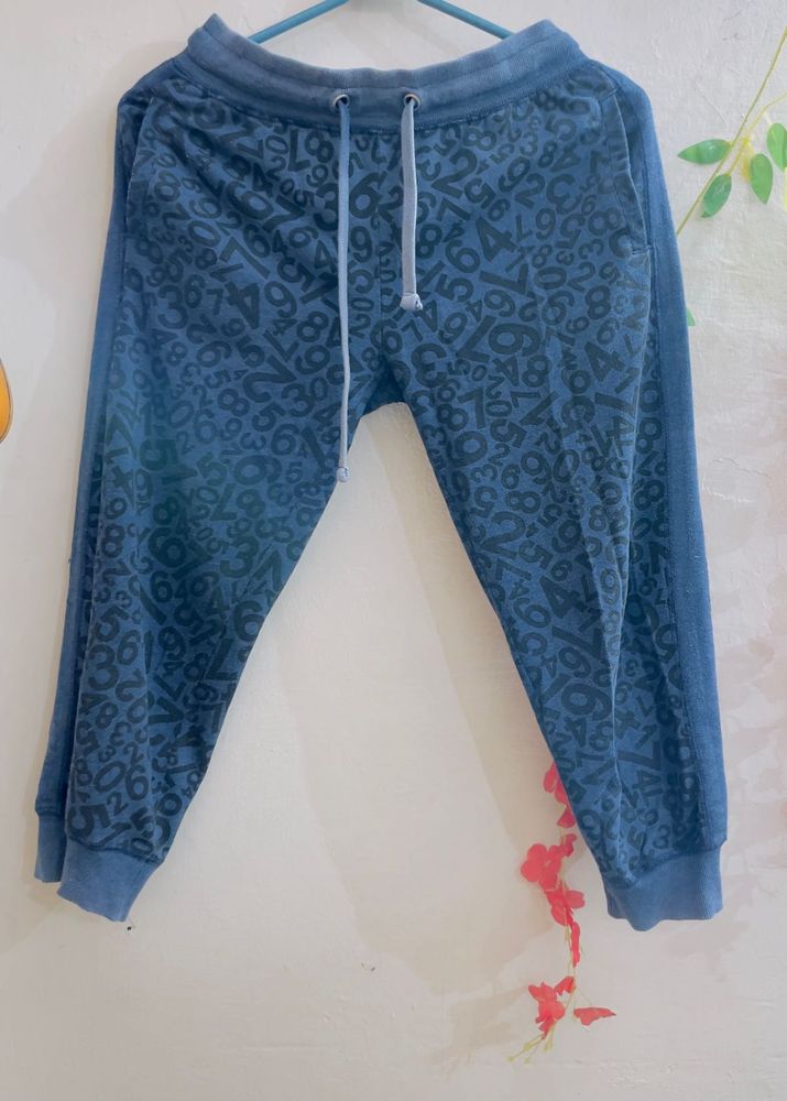 Max Blue Patterned Capri