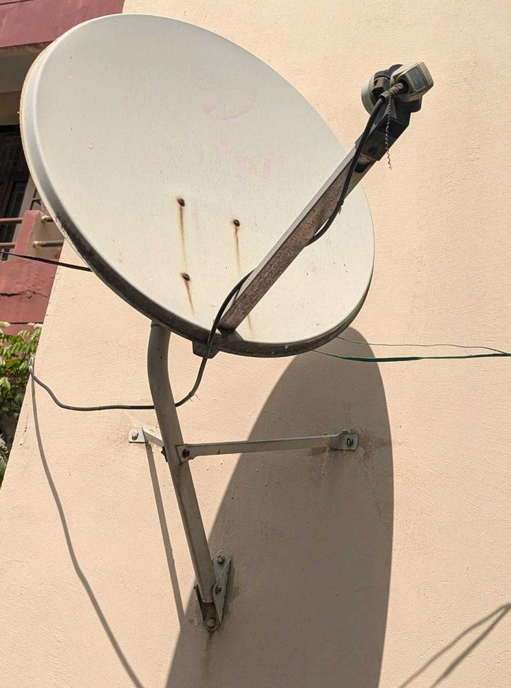 Dish Antenna