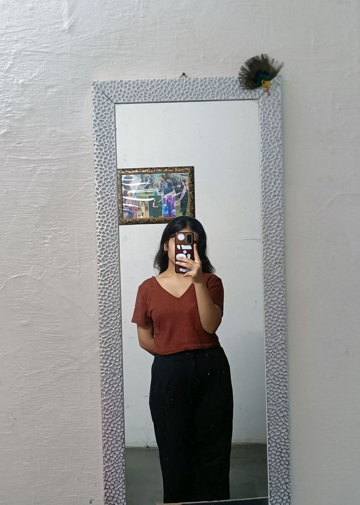 Shein V Neck Brown Crop Top