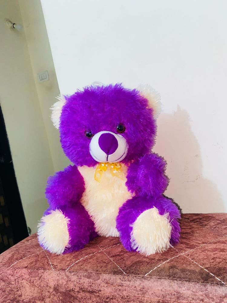 Purple Teddy Bear