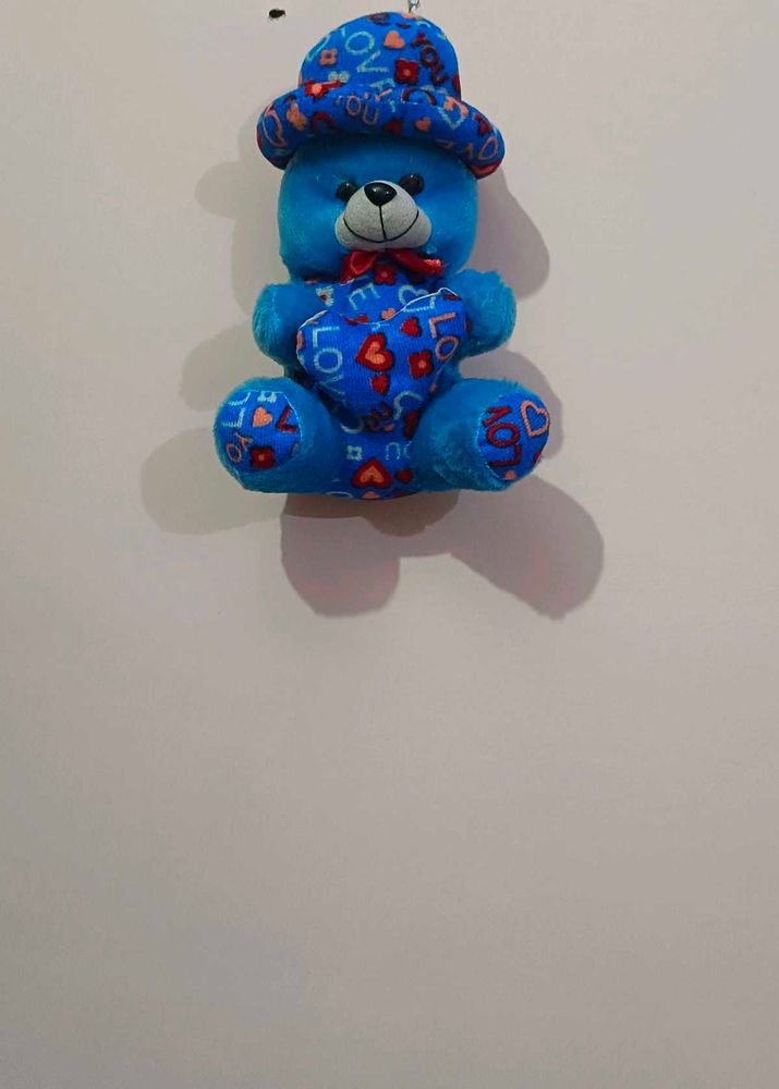 Soft Cute Teddy 🧸with 💙