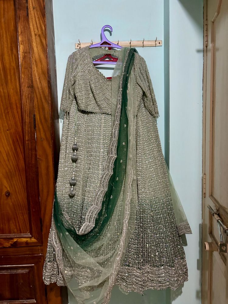 15k Last  Pastel Shaded Green  Designer Lehenga