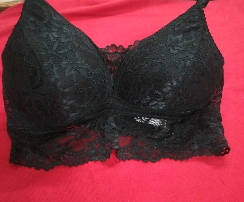 New With Tag Bra
