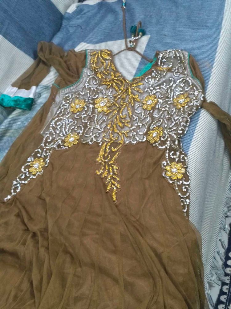 Elegant Brown Embroidered Dress