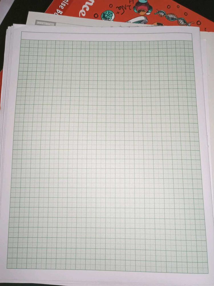 Double Sided 50 Unit Graph Paper