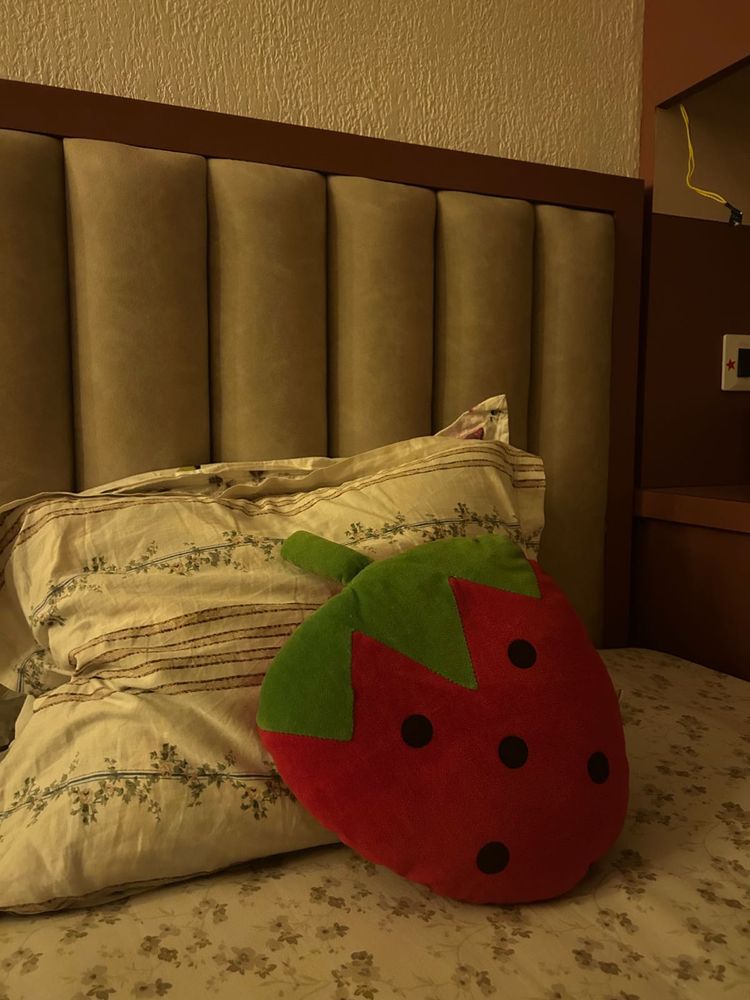 Pinteresty Strawberry Pillow