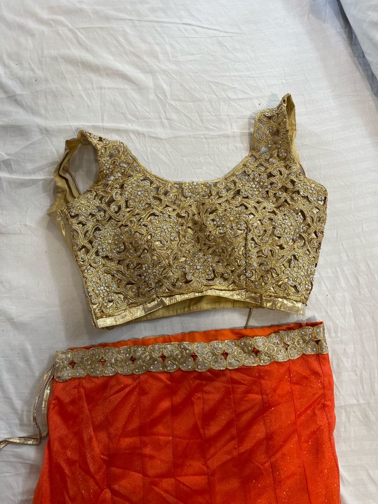 Fishcut Lehenga Blouse Set