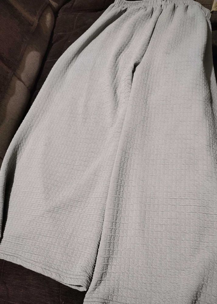 Dailywear Plazzo