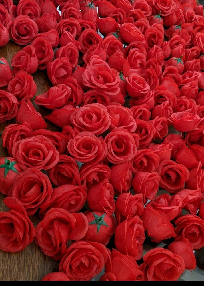 5 Pcs of Big Premium Quality Rose Flower Buds