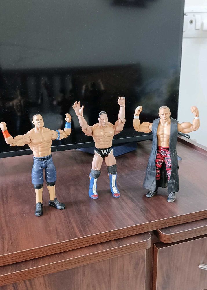 WWE Action Figures (3)