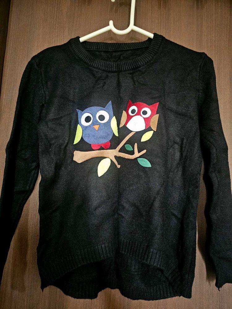 Shein Sweater With Owl Embroidery