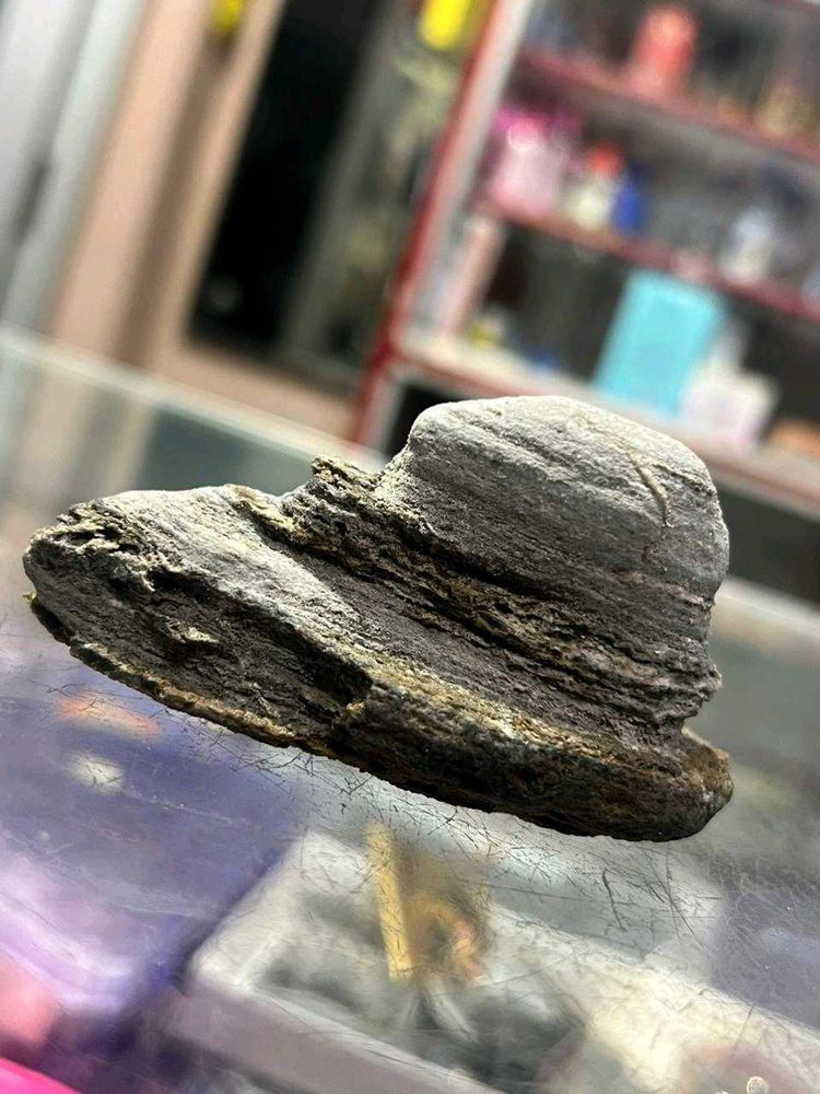 Two pieces of shivling found while digging
