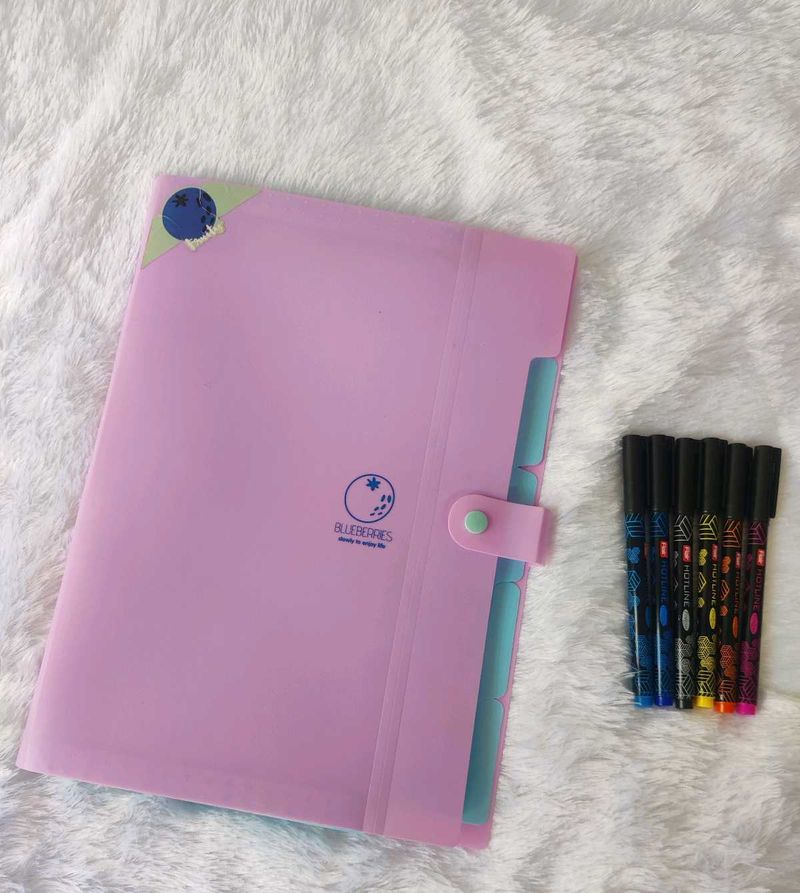 CUTE DOCUMENT FILE &amp; INK PENS
