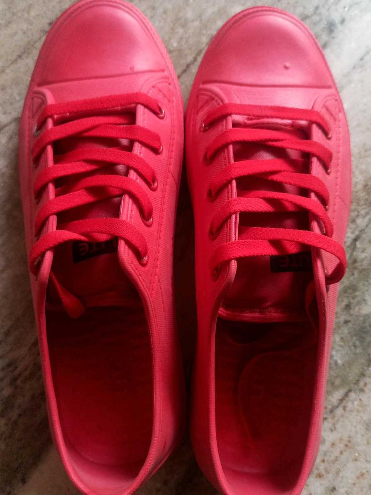Boys Shoes Or Mens Shoe