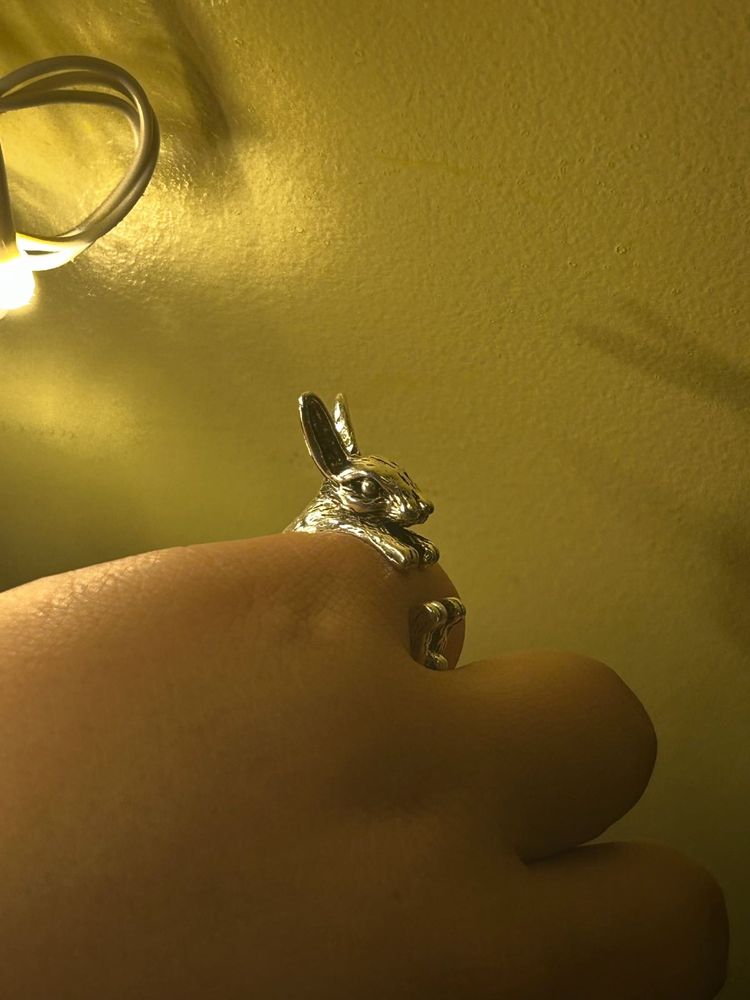Alice In Wonderland Ring