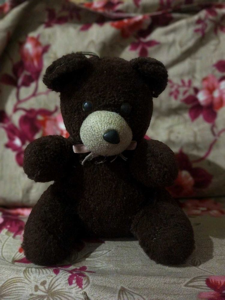 Cute Teddy Bear