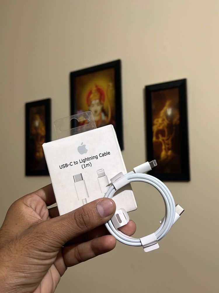 Original iPhone Type-c To Lighting Cable