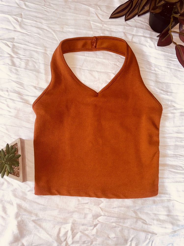 Halter Neck Backless Crop Top