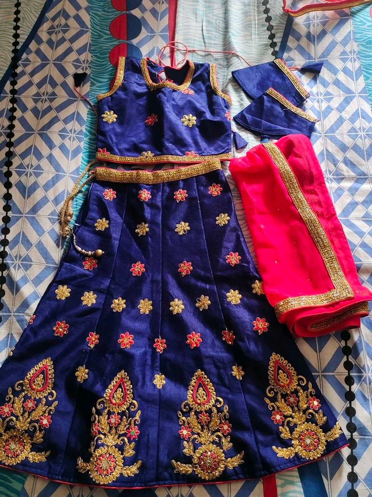 Blue Embroidered Lehenga Choli