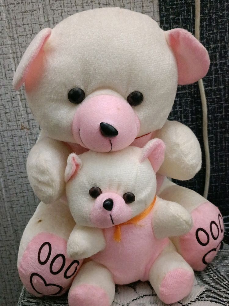 2 In 1 Teddy Bear
