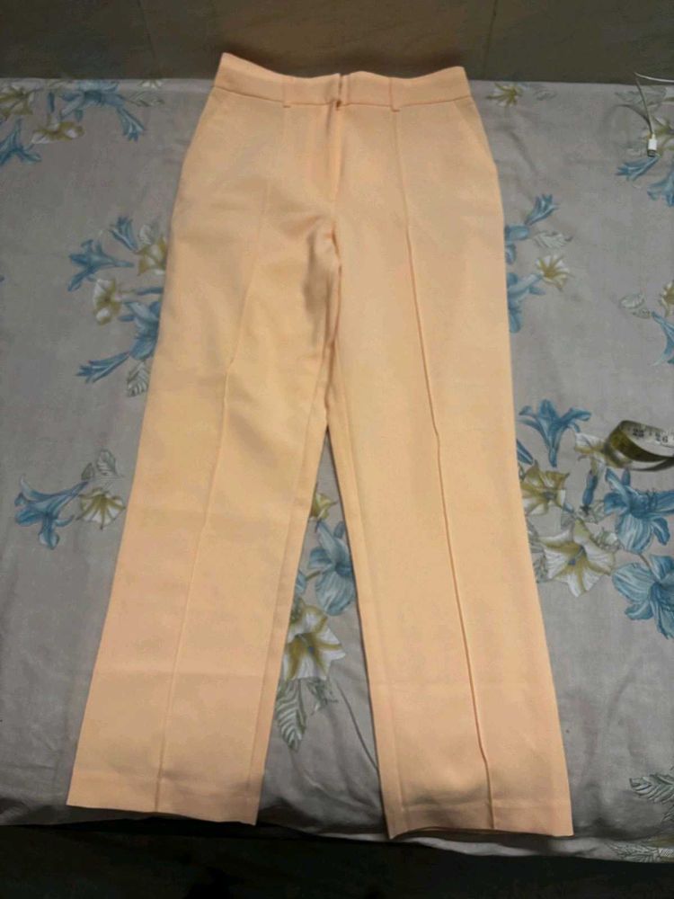 Formal Pant