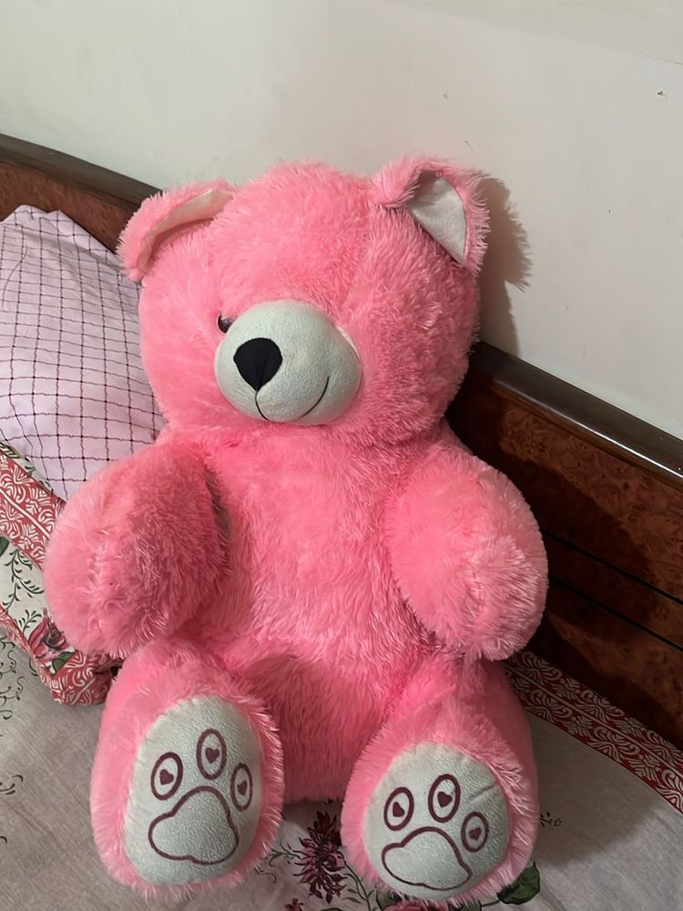 Pink Teddy For Kids