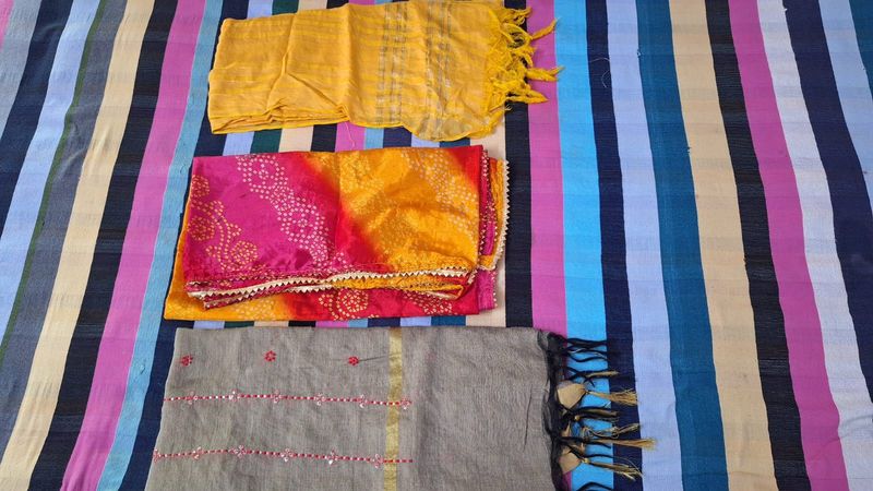 Set of 3 Vibrant Dupattas