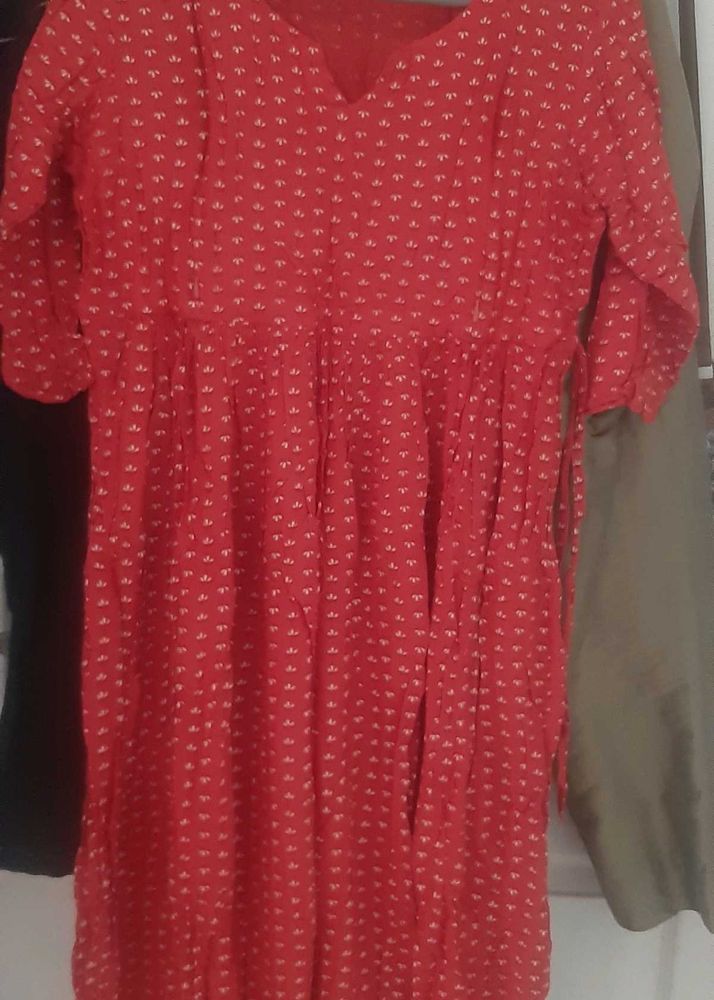 Anayna Pure Cotton Maternity Dress