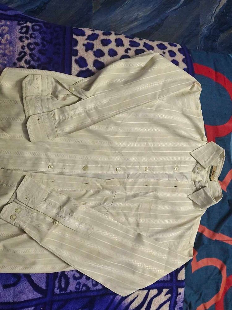 Striped Formal Shirt