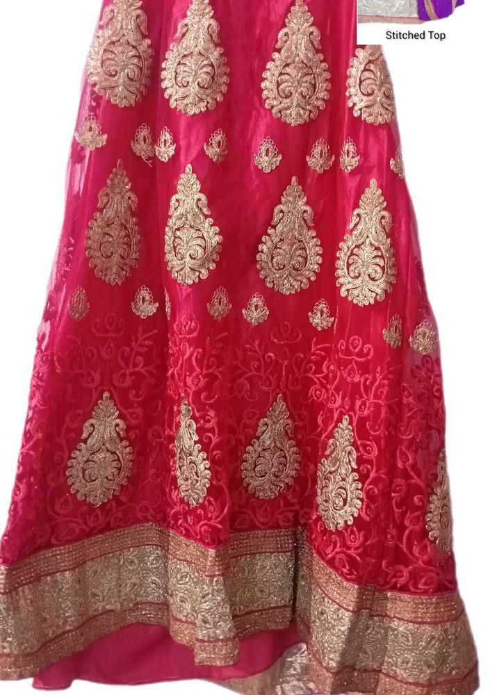 Gorgeous Pink Lehenga Choli