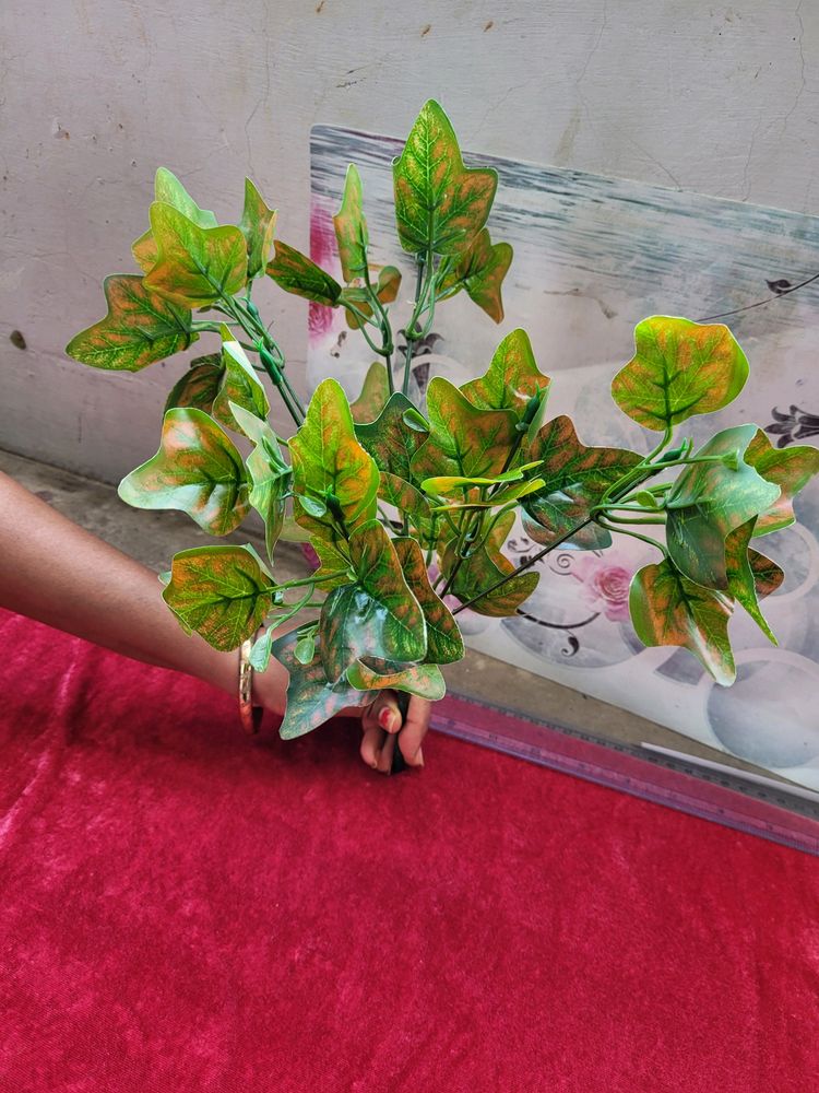 Green Leaf Bunch