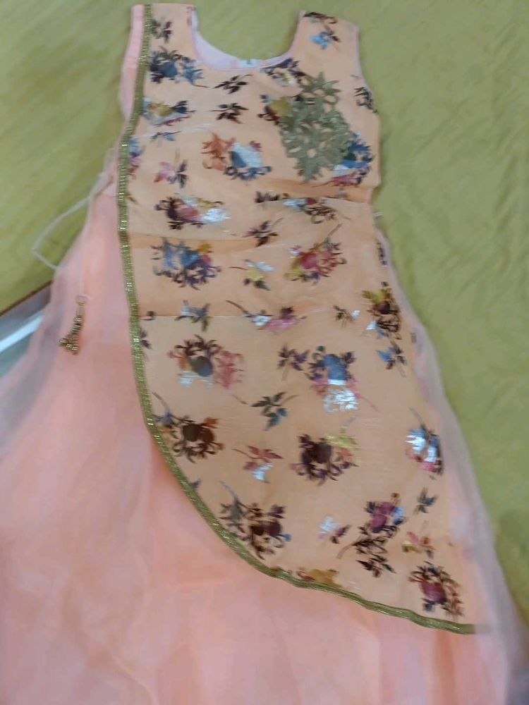Brand New Unused 32 Number Log Frock