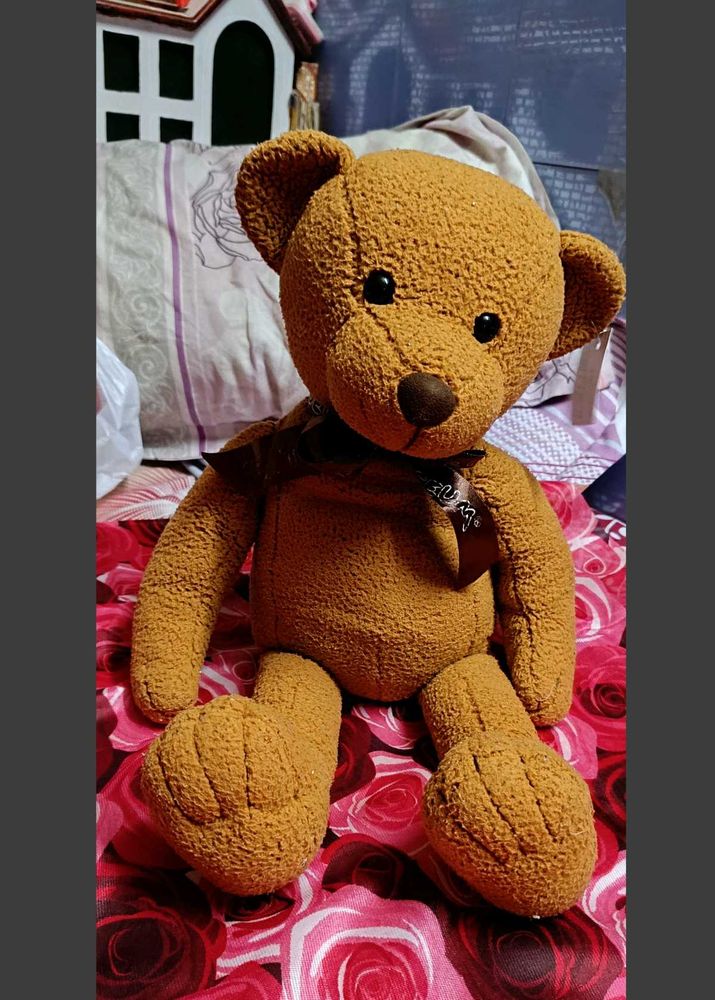 Teddy