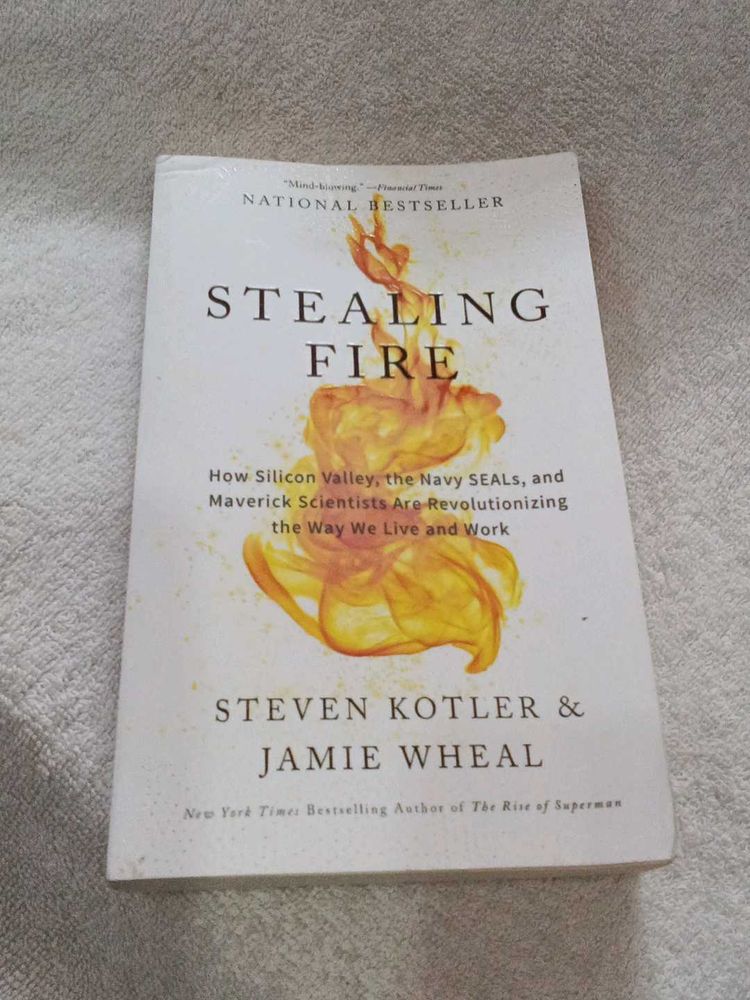 Stealing Fire Book