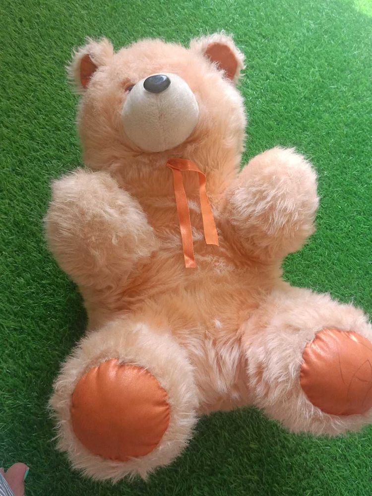 Kids Teddy Bear Soft Toys
