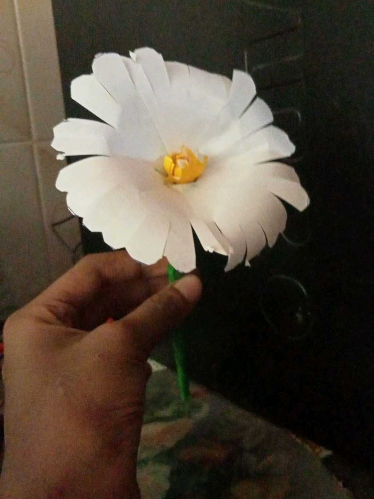 Handmade Paper Daisy(Colour Options -white/Yellow