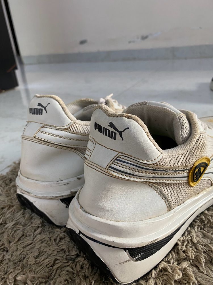 Puma Shoes For Men