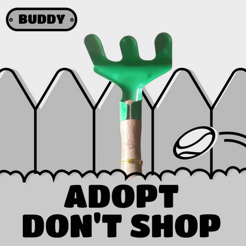 Buddy the Backyard Hero Pack Of 3
