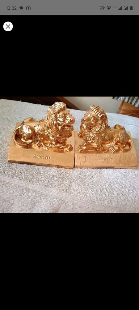 Dubai Lions
